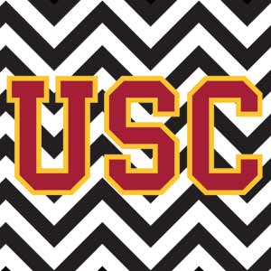 University of Southern California USC Chevron PS5 Console Skin